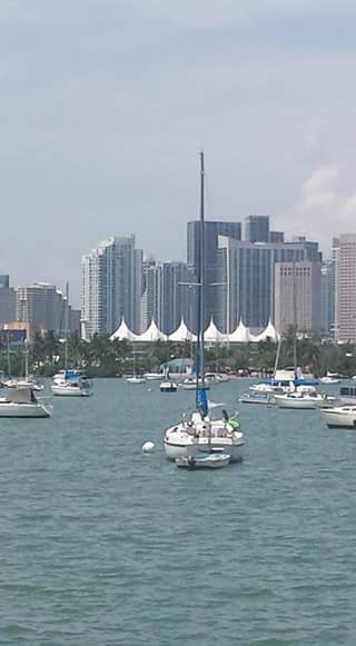 Blick auf den Hafen von Miami Downtown
